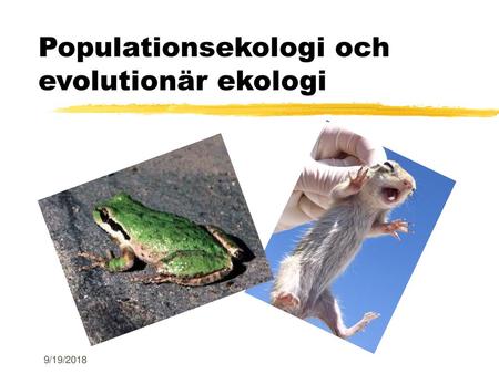 Populationsekologi och evolutionär ekologi