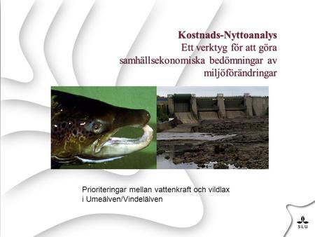 Kostnads-Nyttoanalys Ett verktyg för att göra samhällsekonomiska bedömningar av miljöförändringar Prioriteringar mellan vattenkraft och vildlax i Umeälven/Vindelälven.