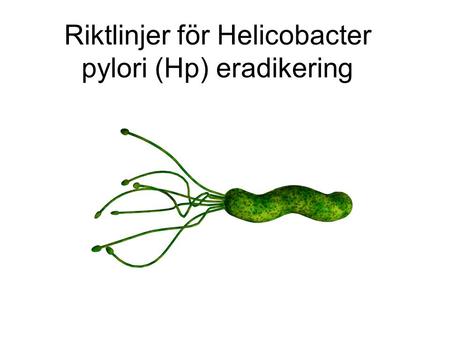 Riktlinjer för Helicobacter pylori (Hp) eradikering