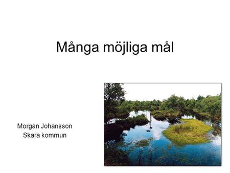 Många möjliga mål Morgan Johansson Skara kommun. Kommunen har ett brett ansvar Dagvatten Dricksvatten Avloppsvatten Vattendrag Sjöar Vattendirektivet.