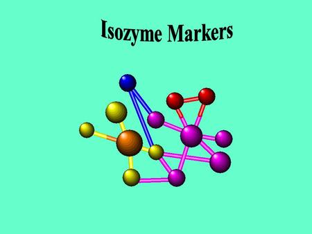Elektroforetisk analys av isozymvariation Växt material Specifik infärgning 1 2 3 4 5 6 7 8 9 10 Stärkelsegelelektrofores (SGE) – Polyakrylamidegelelektrofores.