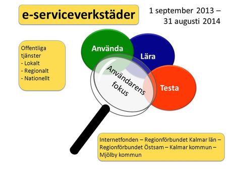 Lära Använda Testa 1 september 2013 – 31 augusti 2014 Offentliga tjänster - Lokalt - Regionalt - Nationellt Internetfonden – Regionförbundet Kalmar län.