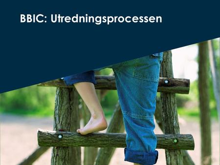 BBIC: Utredningsprocessen