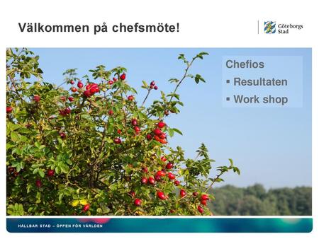 Välkommen på chefsmöte!