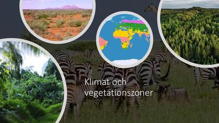 Klimat och vegetationszoner
