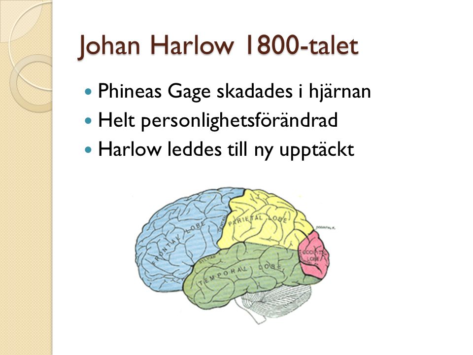 Johan Harlow 1800-talet Phineas Gage skadades i hjärnan