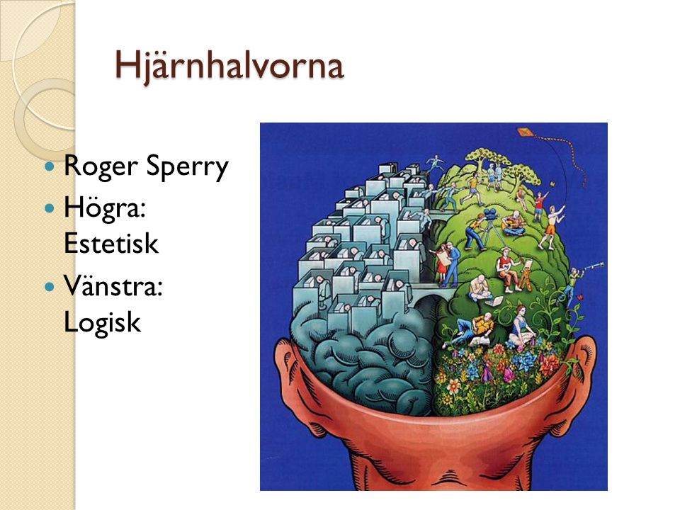Hjärnhalvorna Roger Sperry Högra: Estetisk Vänstra: Logisk