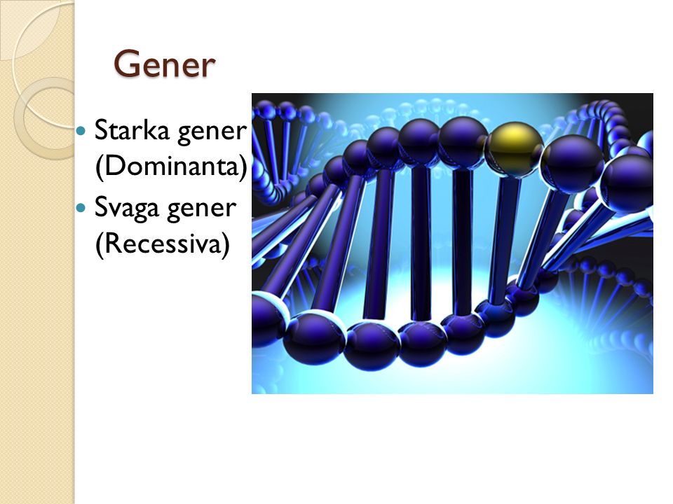 Gener Starka gener (Dominanta) Svaga gener (Recessiva)