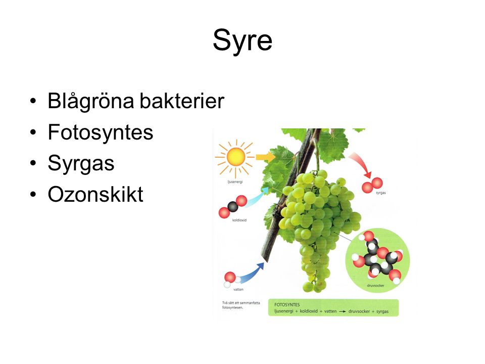 Syre Blågröna bakterier Fotosyntes Syrgas Ozonskikt