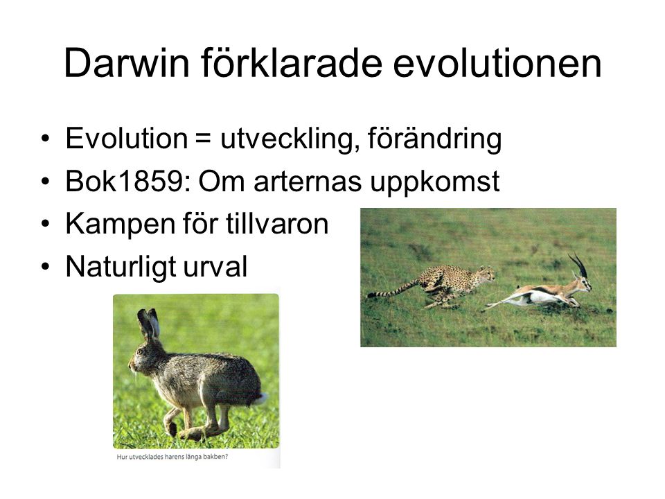 Darwin förklarade evolutionen