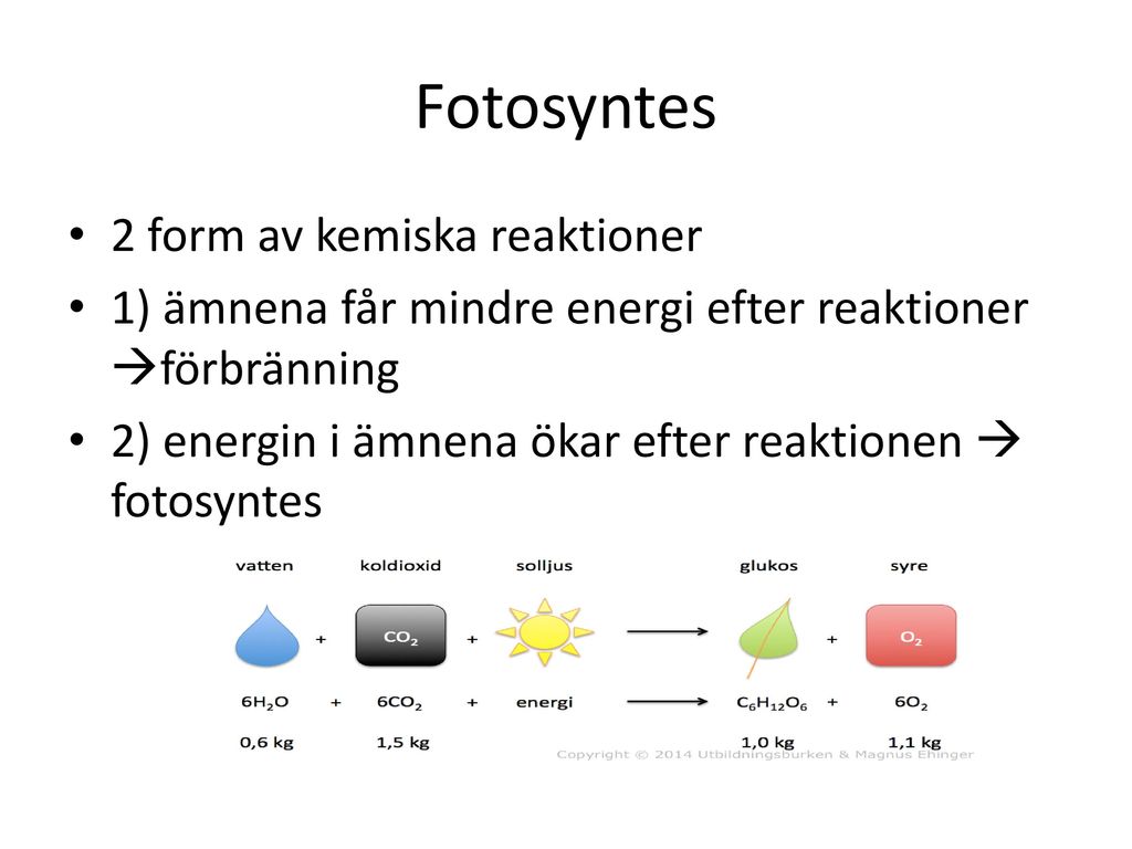 fotosyntes kemisk formel