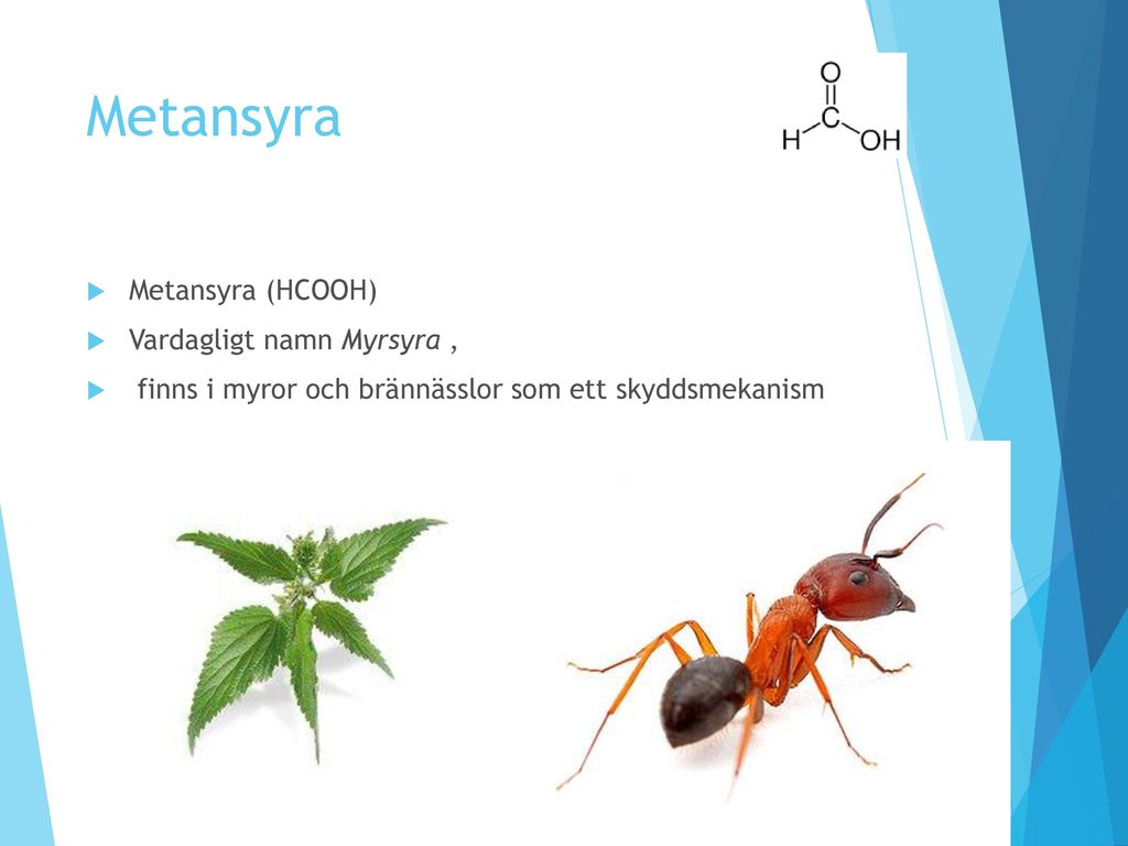 Metansyra Metansyra (HCOOH) Vardagligt namn Myrsyra ,