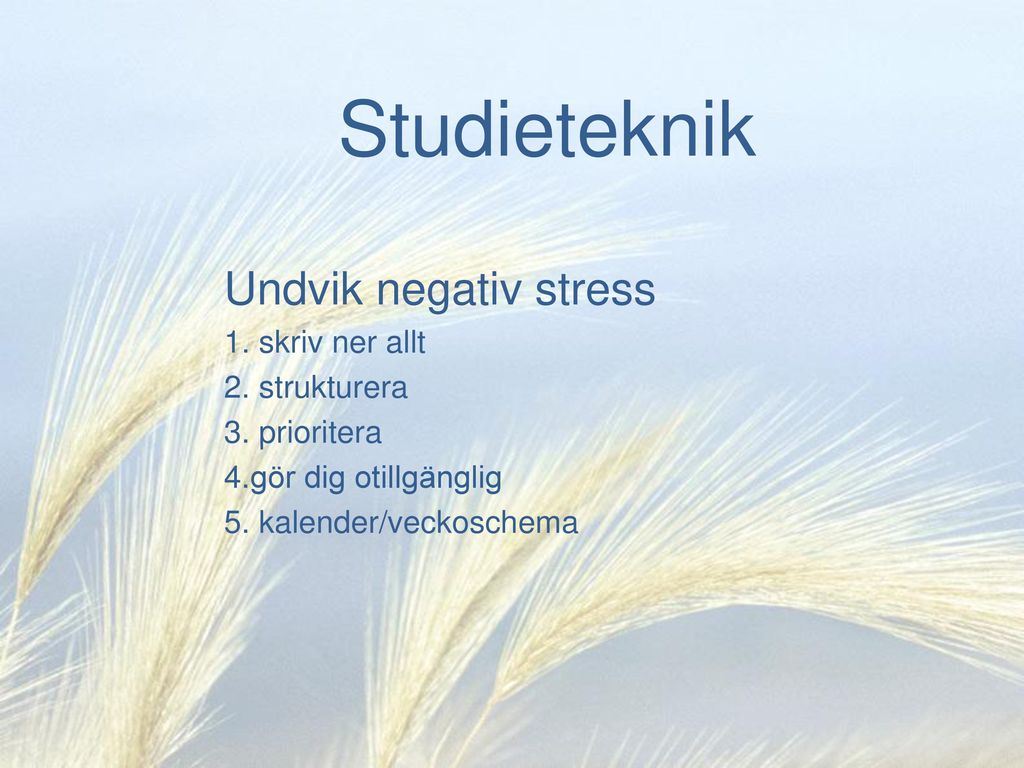 Studieteknik Undvik negativ stress skriv ner allt strukturera