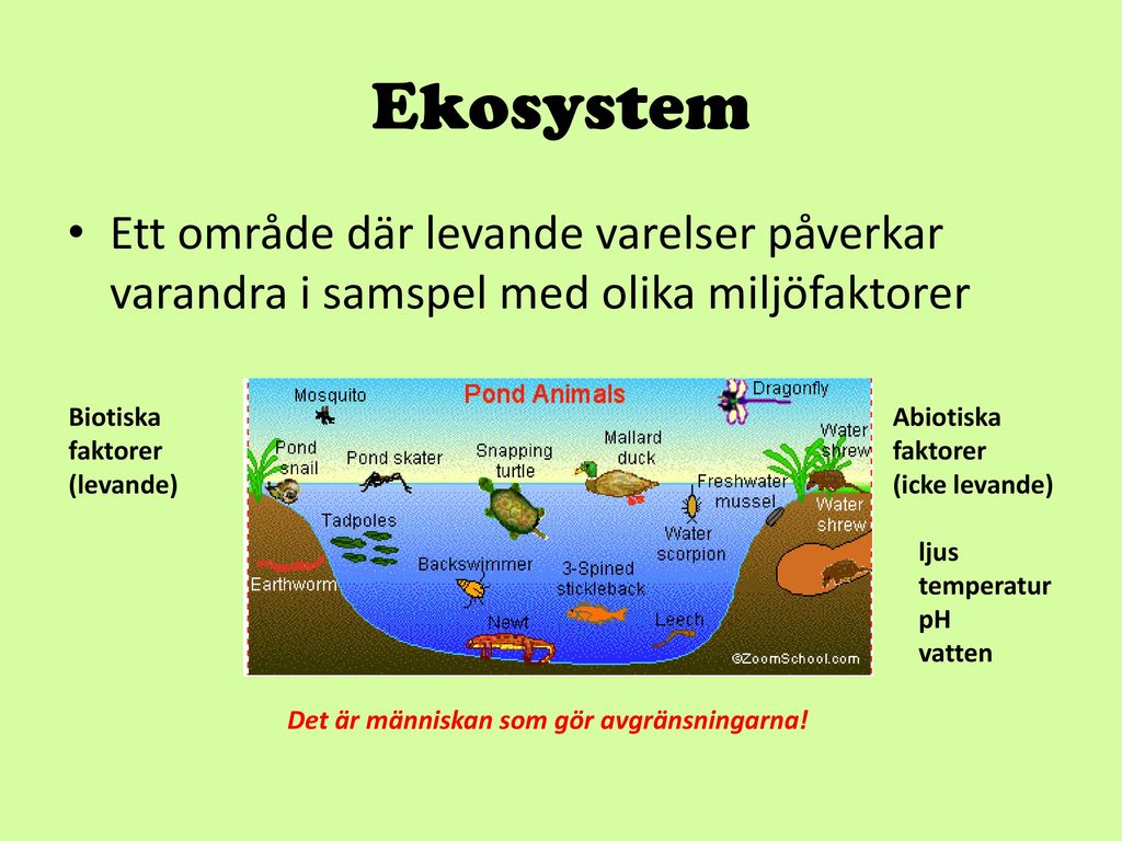 Ekosystem Ett område där levande varelser påverkar varandra i samspel med olika miljöfaktorer. Biotiska Abiotiska.