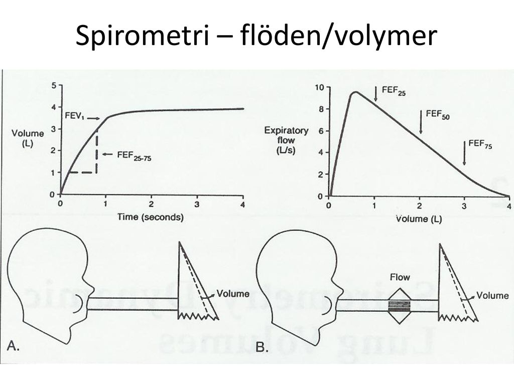 Spirometri – flöden/volymer