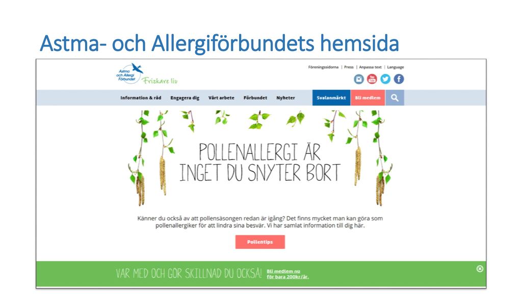 Astma- och Allergiförbundets hemsida