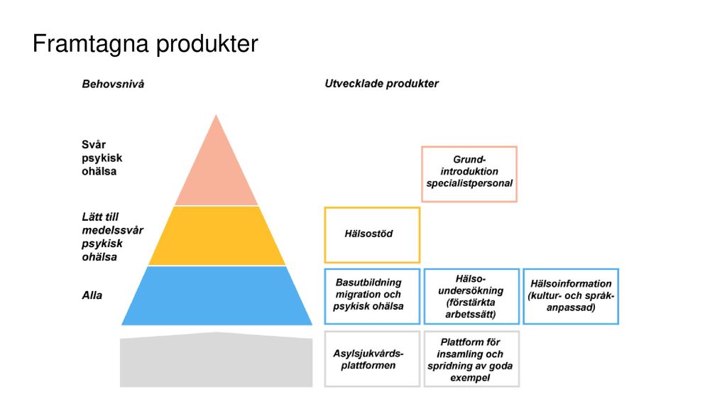 Framtagna produkter De här produkterna är de som finns, de sorteras i tre nivåer (visa pyramiden + webbsidan där produkterna finns).