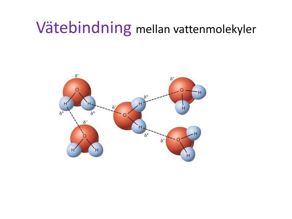 Vätebindning mellan vattenmolekyler