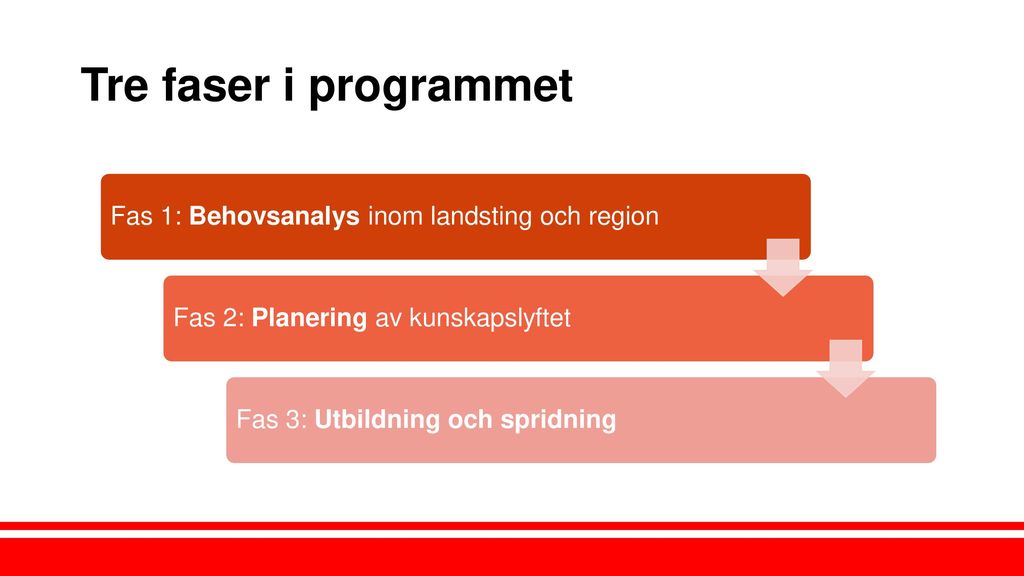Tre faser i programmet Fas 1: Behovsanalys inom landsting och region