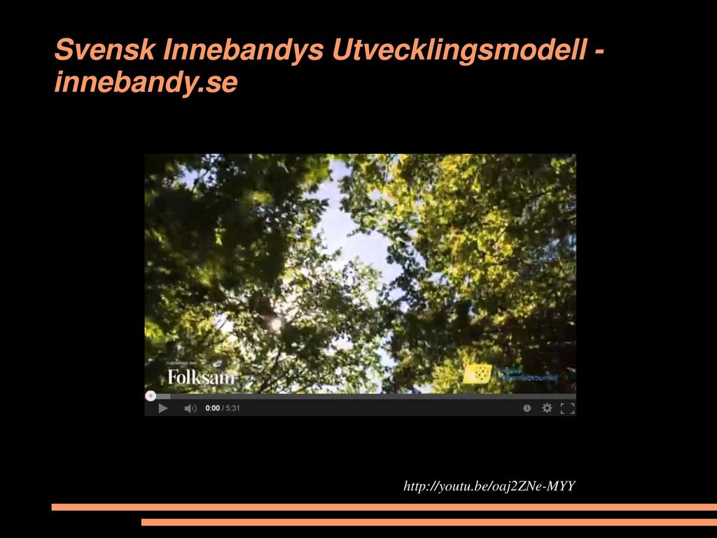Svensk Innebandys Utvecklingsmodell - innebandy.se