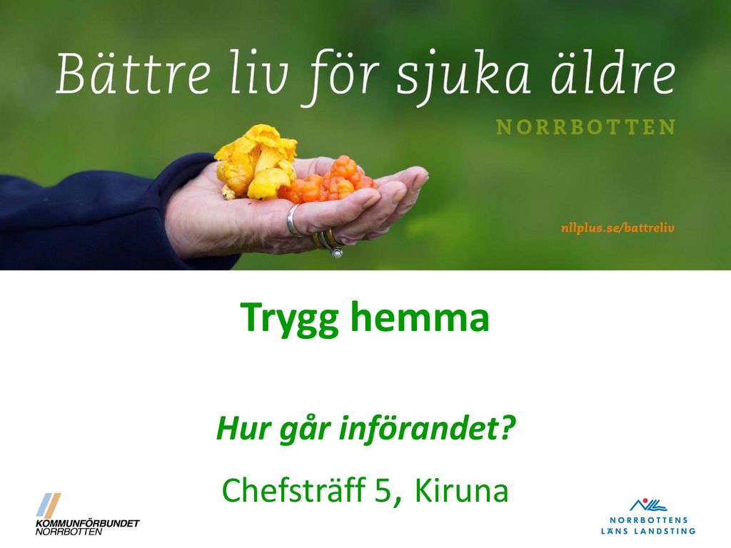 Trygg hemma Hur går införandet Chefsträff 5, Kiruna