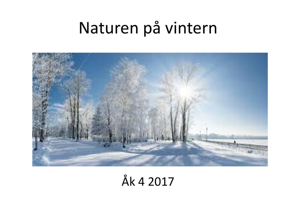Naturen på vintern Åk