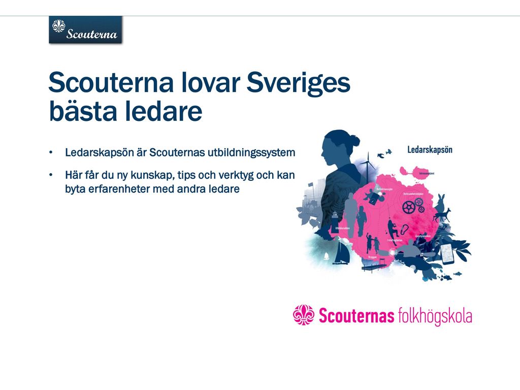 Scouterna lovar Sveriges bästa ledare