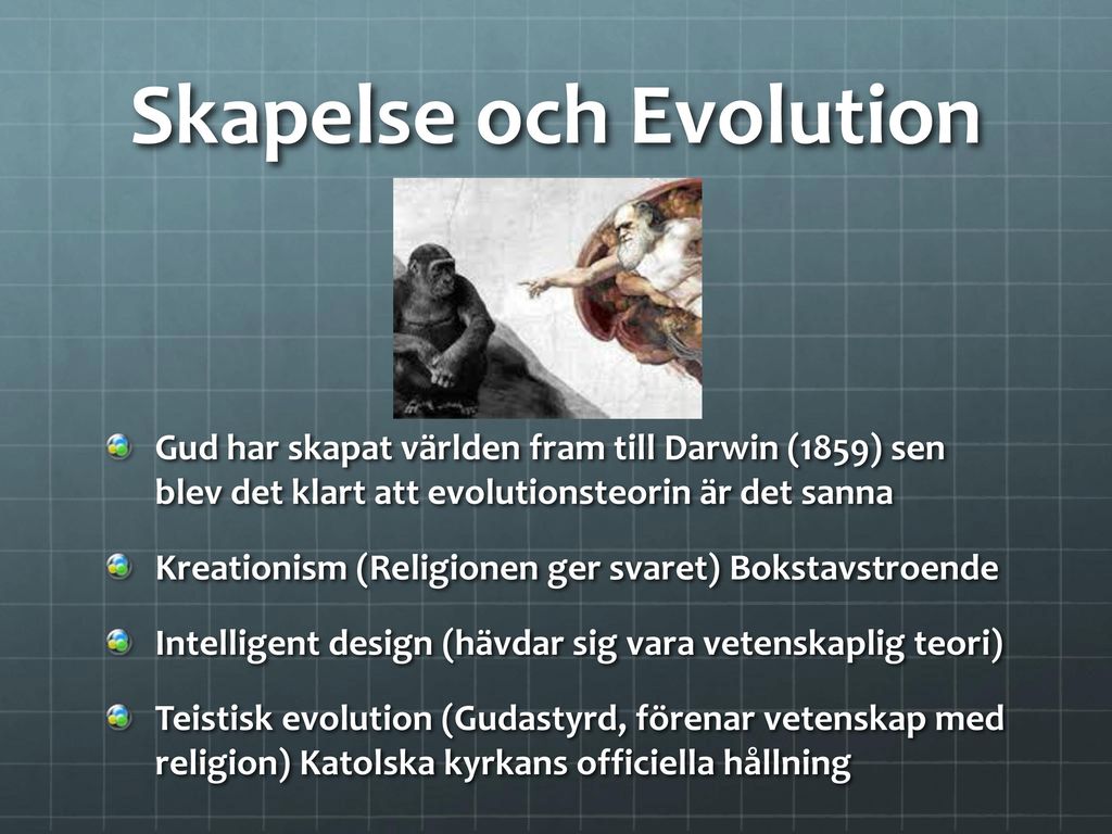Skapelse och Evolution