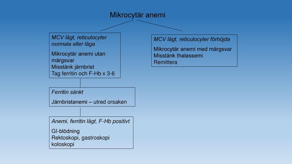 Mikrocytär anemi MCV lågt, reticulocyter normala eller låga