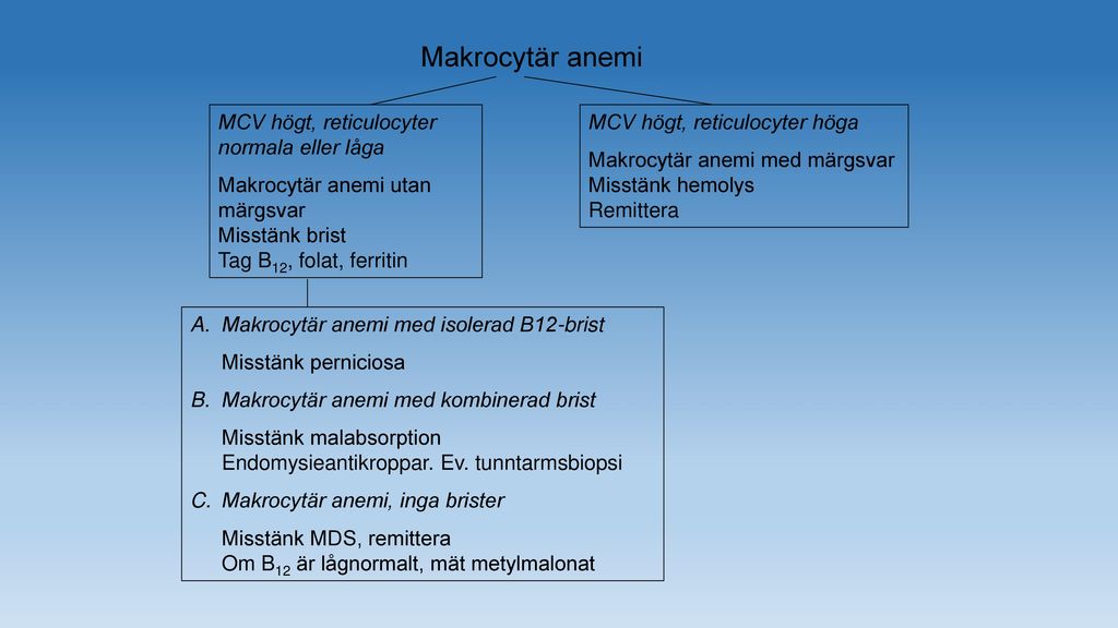 Makrocytär anemi MCV högt, reticulocyter normala eller låga