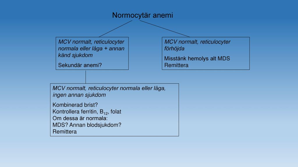 Normocytär anemi MCV normalt, reticulocyter normala eller låga + annan känd sjukdom. Sekundär anemi