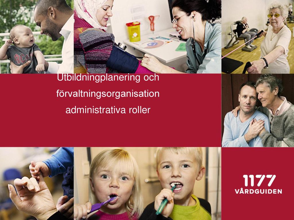 Utbildningplanering Och Förvaltningsorganisation Administrativa Roller ...