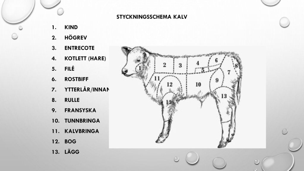 Kott Fagel Syftet Oka Er Kunskap Kring Olika Kottproducerande