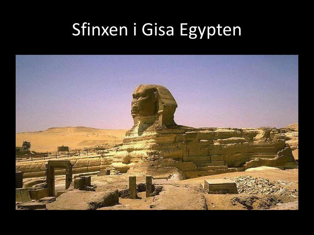 Sfinxen i Gisa Egypten