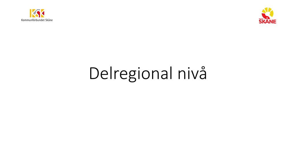 Delregional nivå