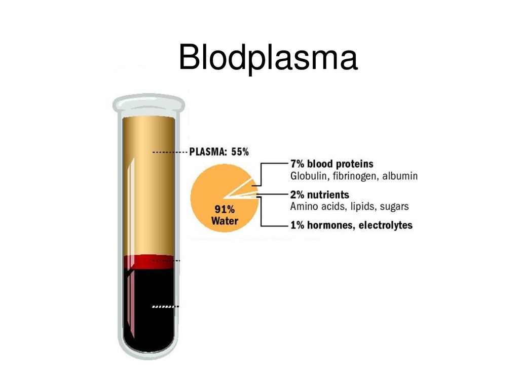 Blodplasma