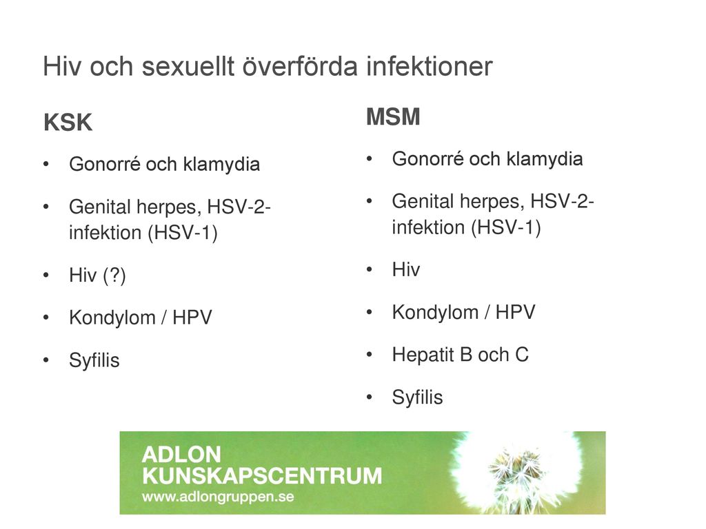 Hbtq Diplomera Din Mottagning Ppt Ladda Ner