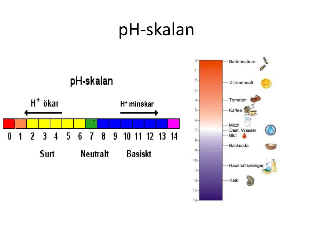 pH-skalan H+ minskar