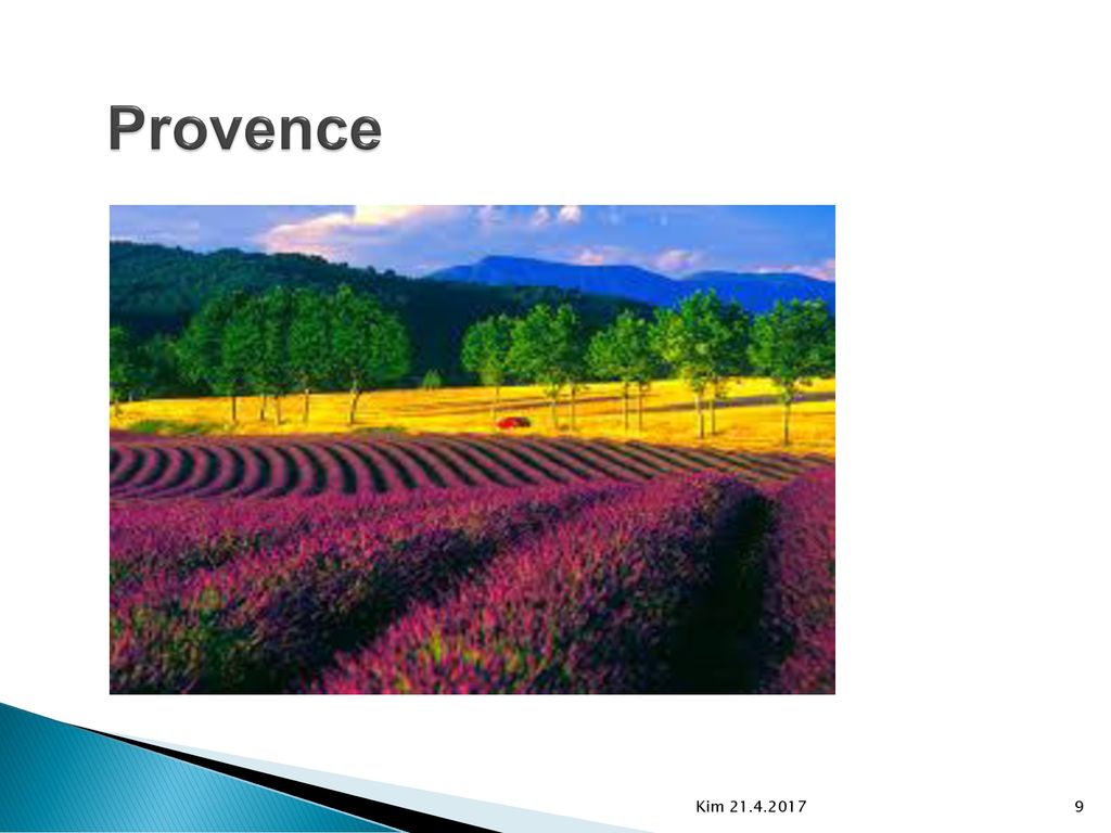 Provence Kim