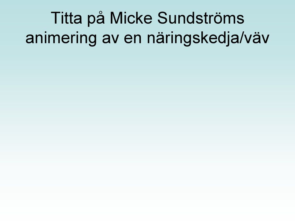 Titta på Micke Sundströms animering av en näringskedja/väv