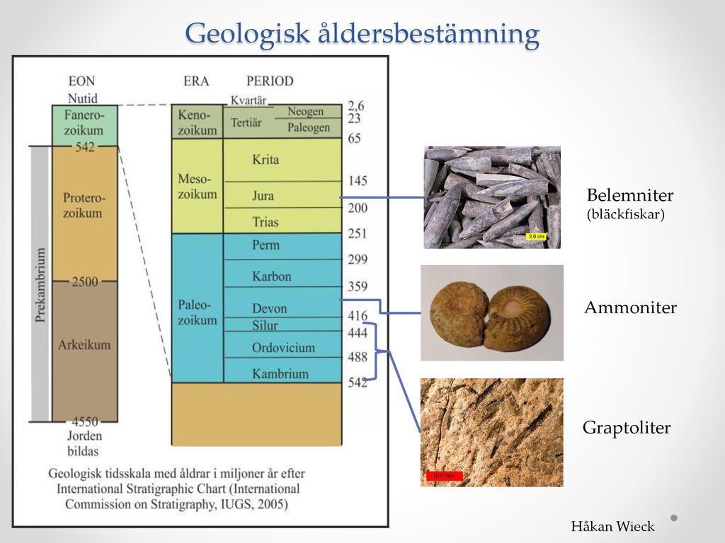 Skillnaden mellan relativ och absolut datering fossil