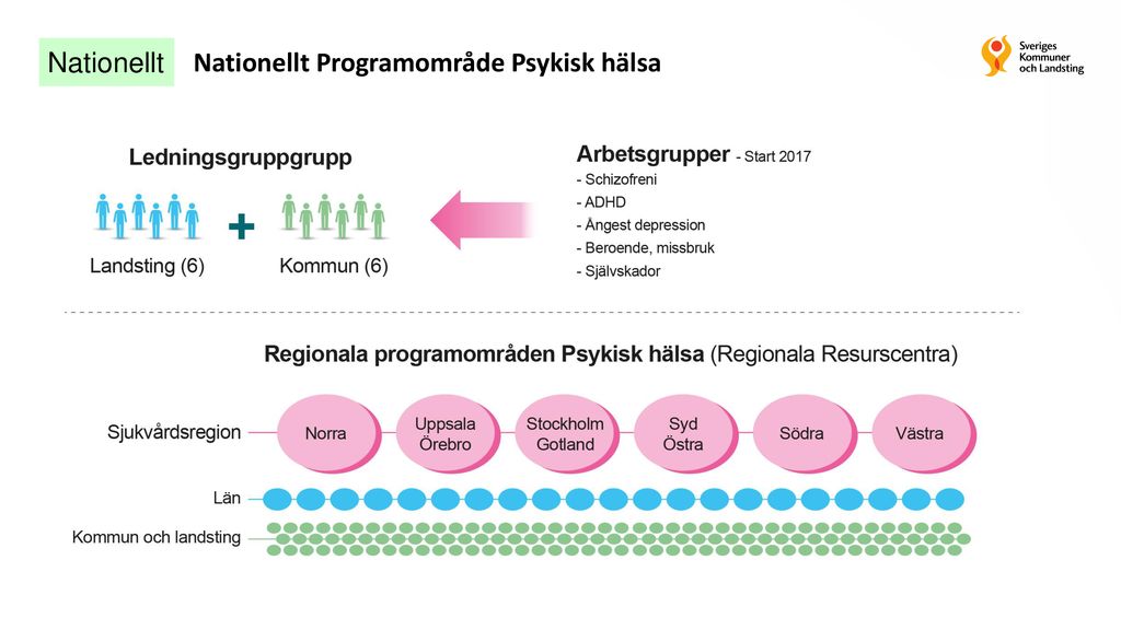 Framtagande Av Vård Och Insatsprogram VIP Schizofreni - Ppt Ladda Ner