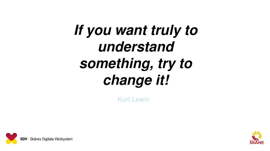 If you want truly to understand something, try to change it!