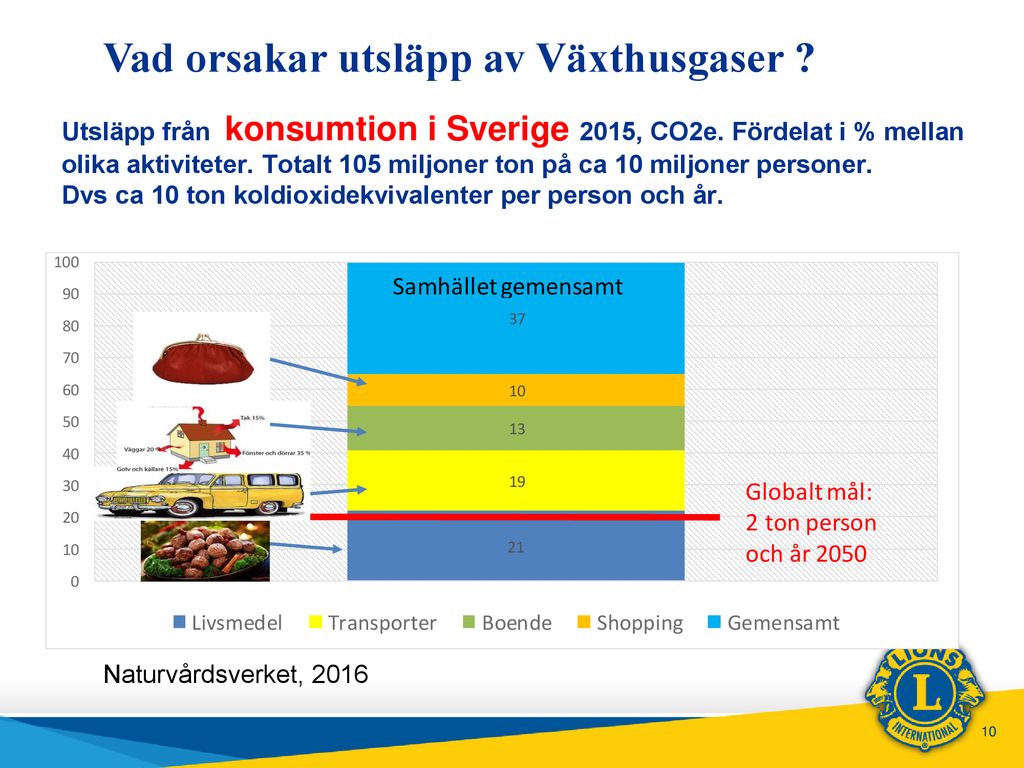 Lions Och Miljön Miljömedveten Hjälporganisation Sveriges Lions Pris ...