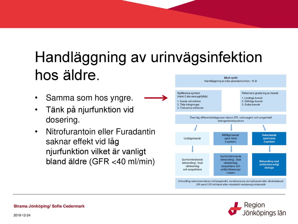 Perspektiv På Infektioner Hos äldre - Ppt Ladda Ner