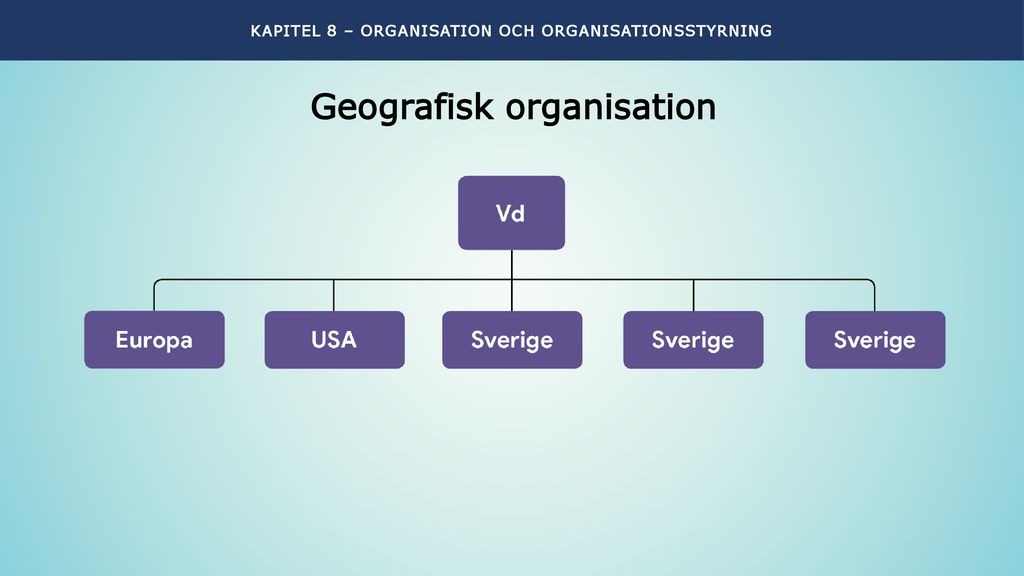 Geografisk organisation