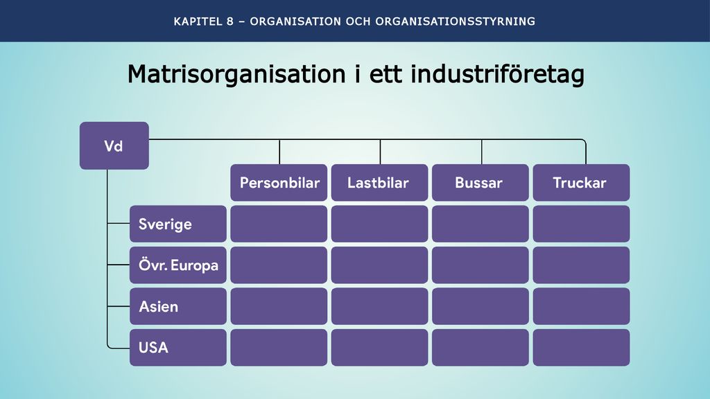 Matrisorganisation i ett industriföretag
