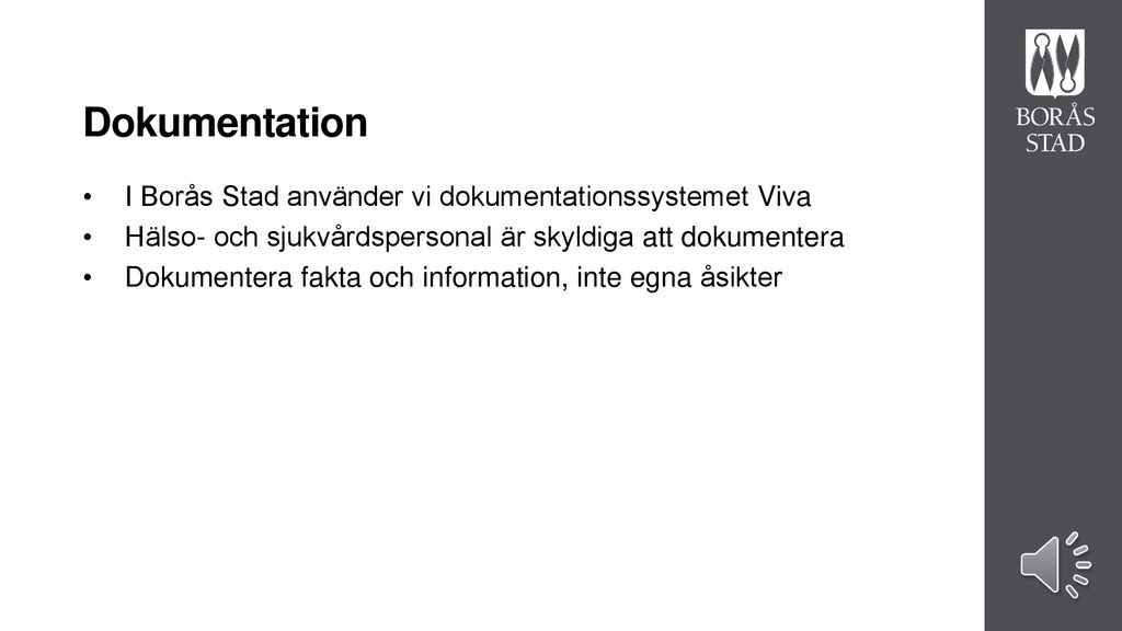 Dokumentation I Borås Stad använder vi dokumentationssystemet Viva