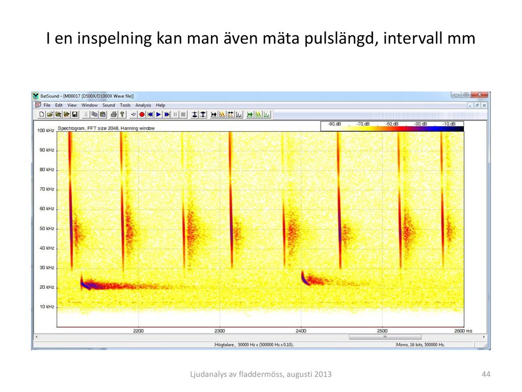 I en inspelning kan man även mäta pulslängd, intervall mm