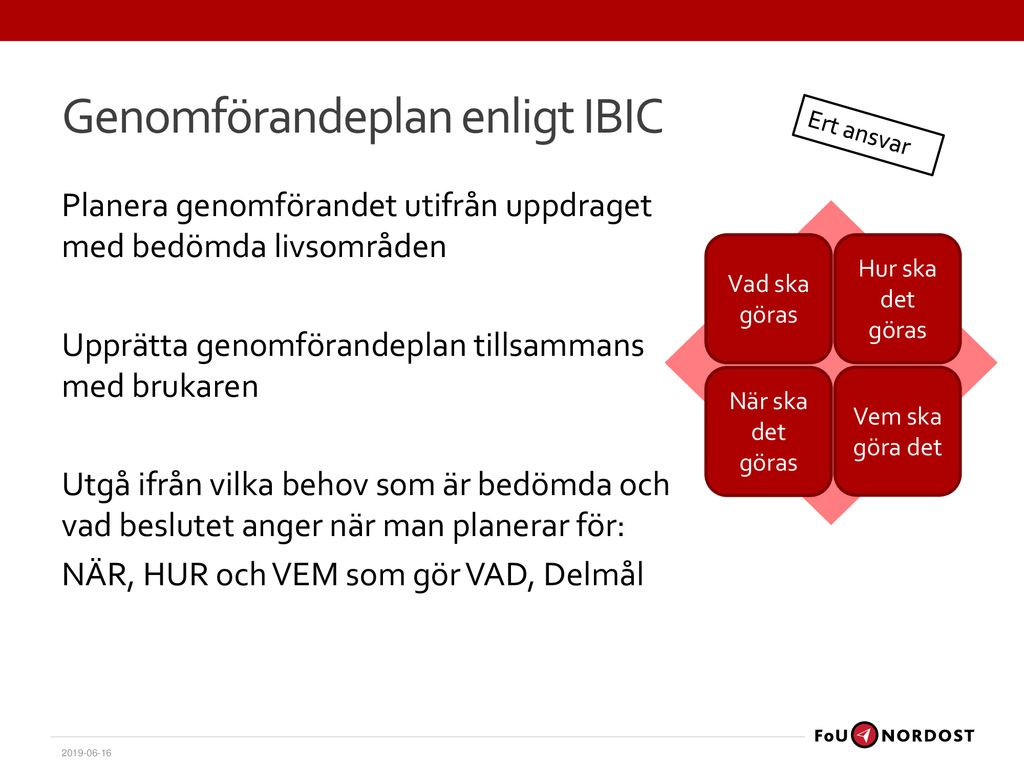 Genomförandeplan enligt IBIC